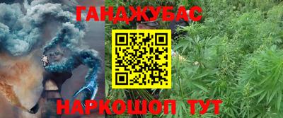 СК Пенза