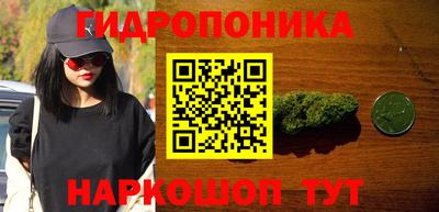 СК Пенза